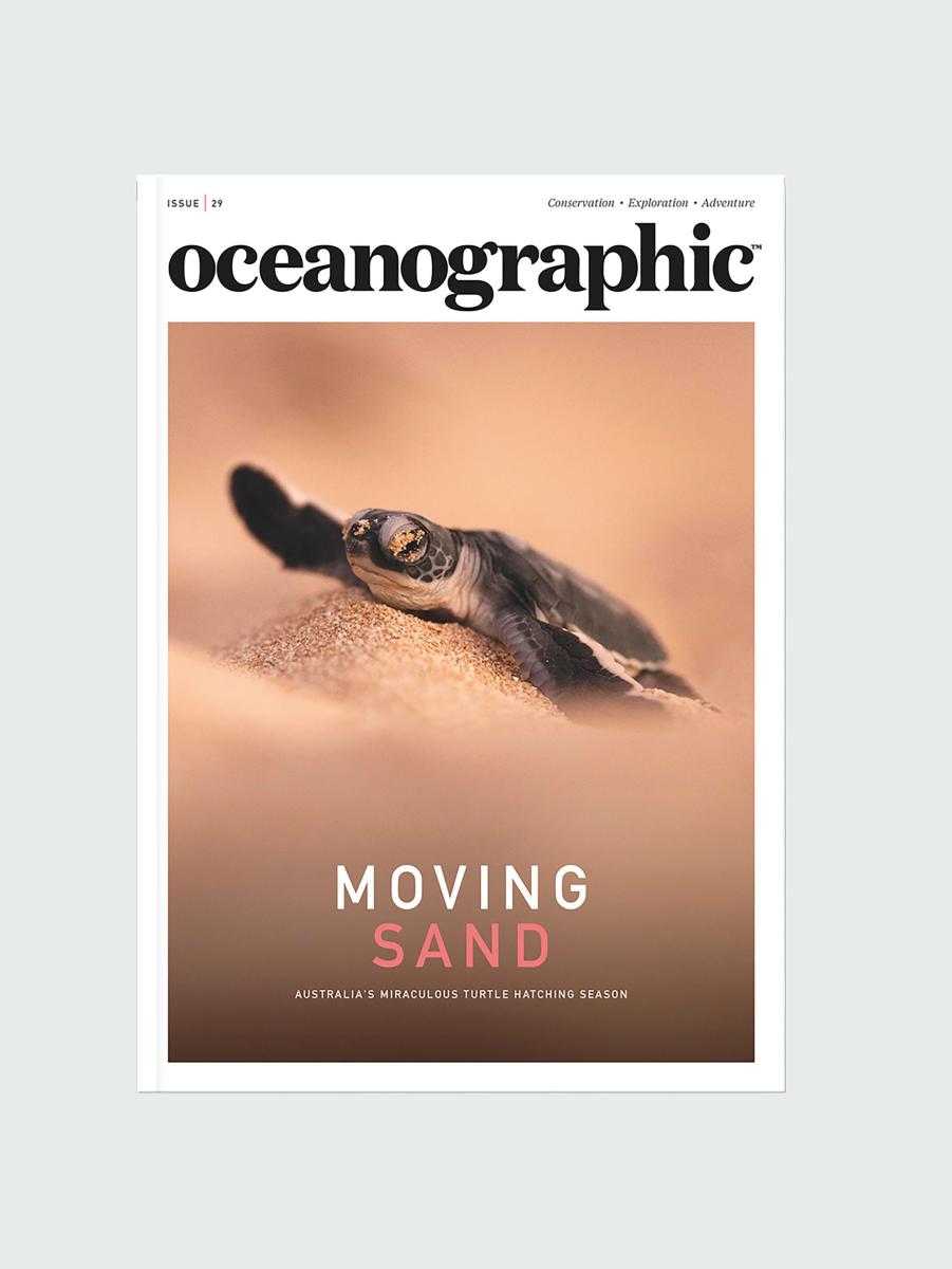 Oceanographic, Issue 29 Men Finisterre Books & Magazines