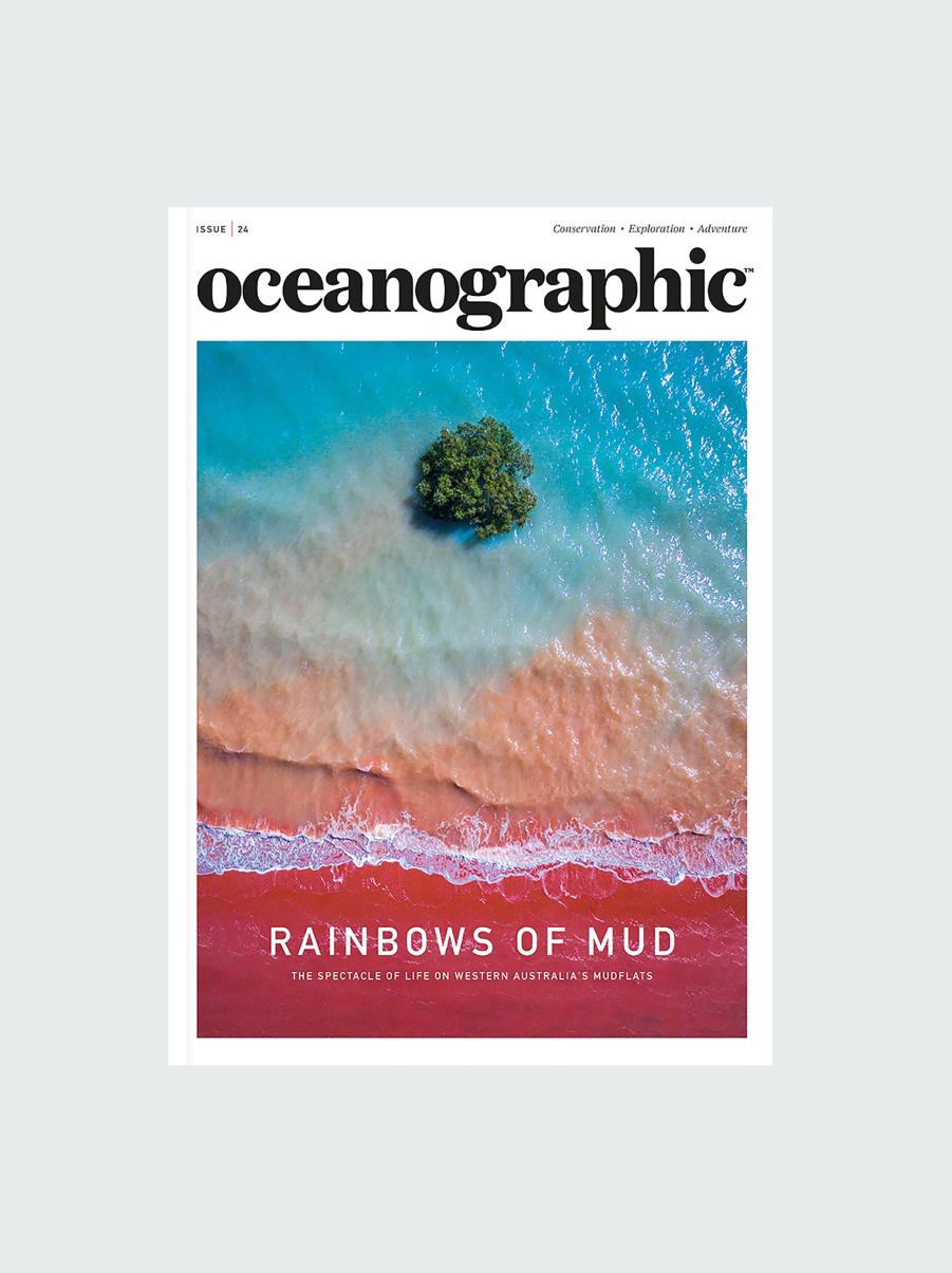 Finisterre Men Oceanographic, Issue 24 Books & Magazines - 1