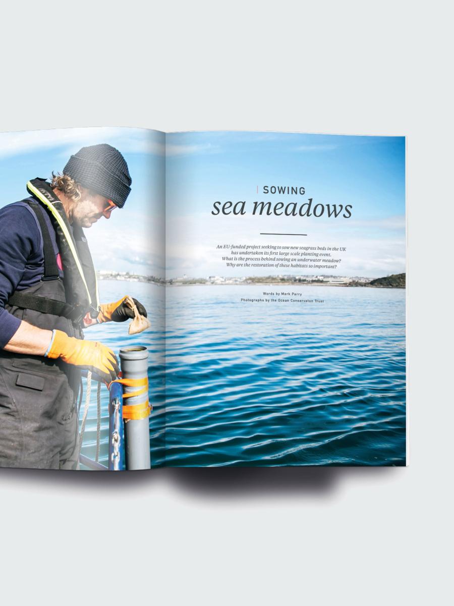 Finisterre Oceanographic, Issue 19 Books & Magazines Men - 3