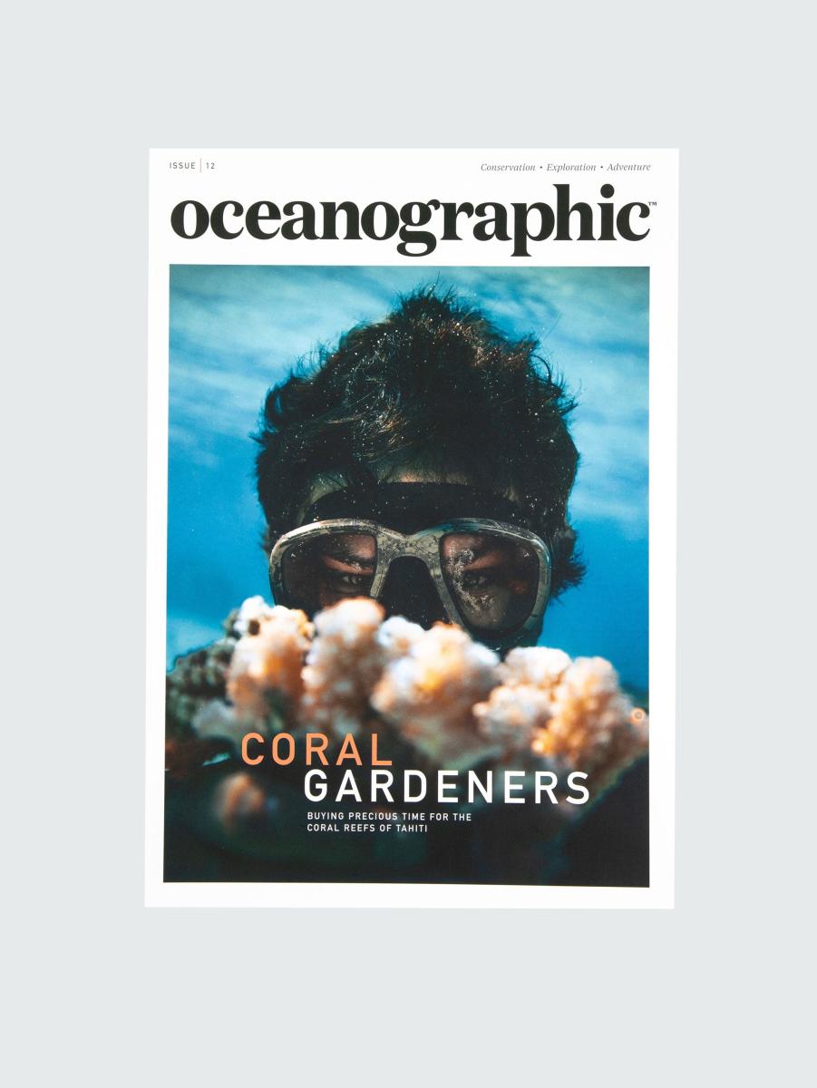 Oceanographic, Issue 12 Books & Magazines Men Finisterre - 1