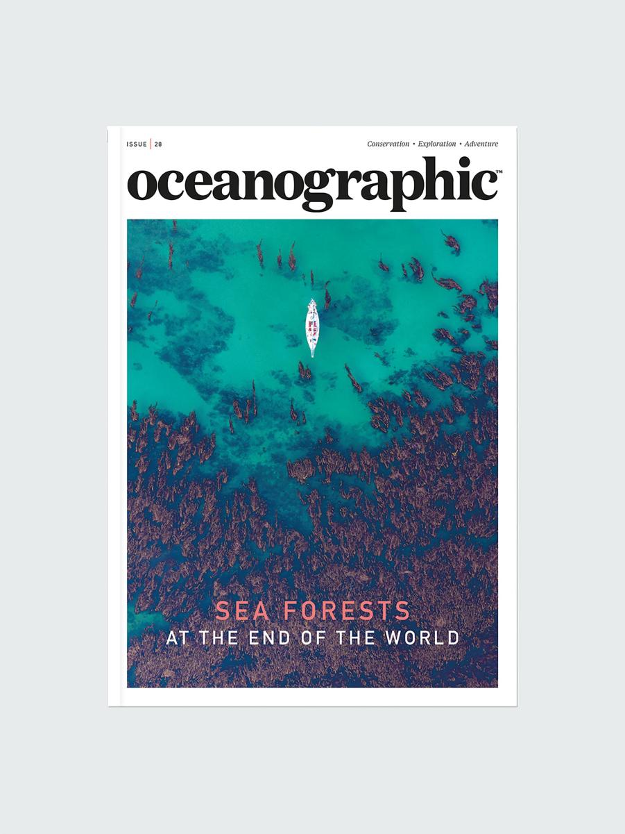 Men Finisterre Oceanographic, Issue 28 Books & Magazines