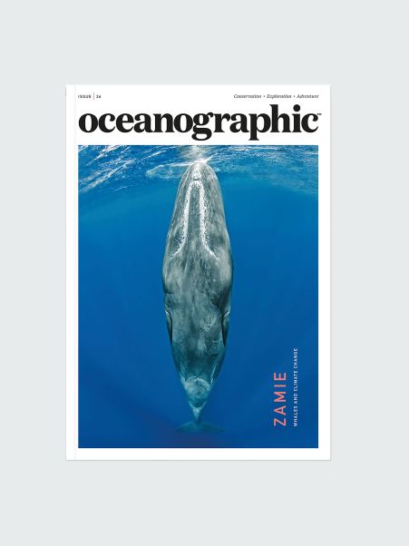 Men Books & Magazines Oceanographic, Issue 26 Finisterre
