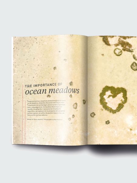 Oceanographic, Issue 14 Finisterre Men Books & Magazines