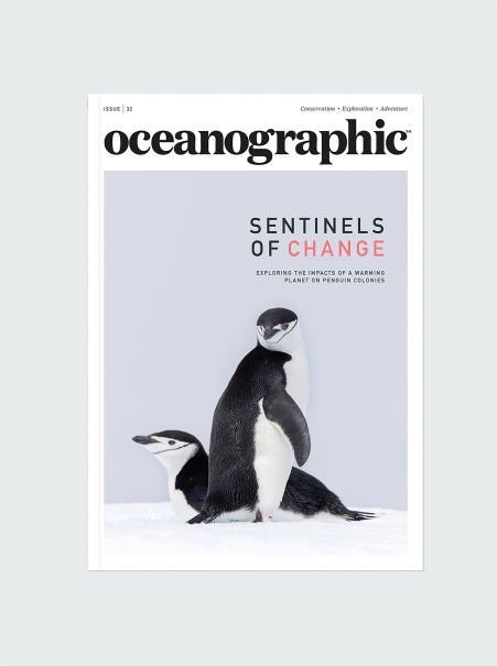 Oceanographic, Issue 32 Men Books & Magazines Finisterre